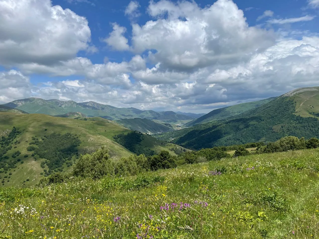 Отель с бассейном